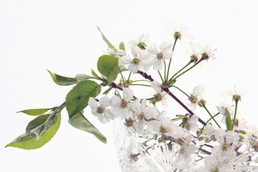 Similar image 10519475