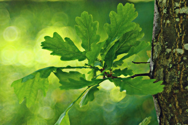 Similar image 10519478