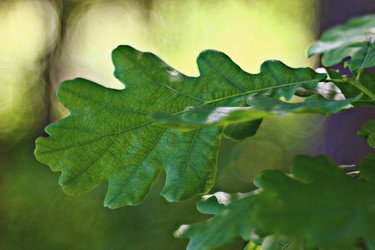 Similar image 10519480