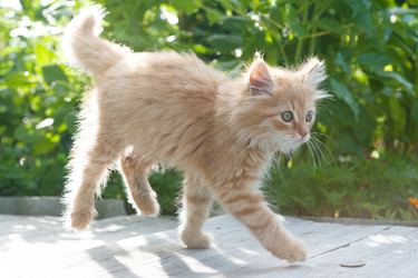 Similar image 10519595