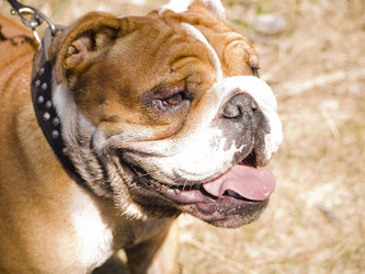 Similar image 10519600