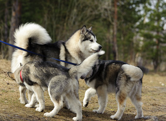 Similar image 10519601