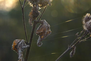 Similar image 10519603