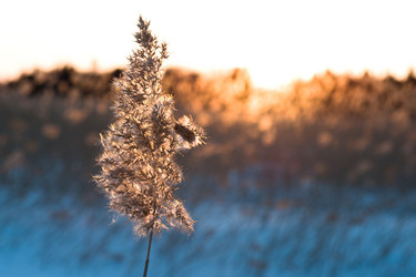 Similar image 10519604