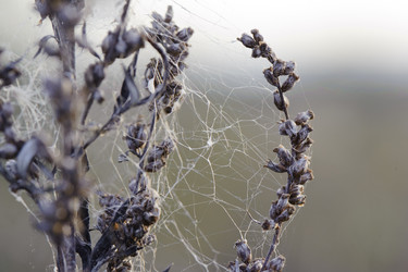 Similar image 10519605