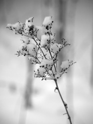 Similar image 10519607