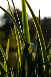 Similar image 10519608