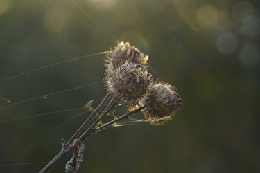 Similar image 10519609