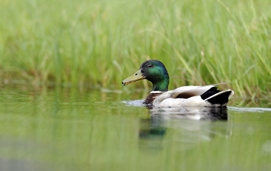 Similar image 10519612