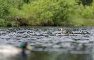 Similar image 10519613