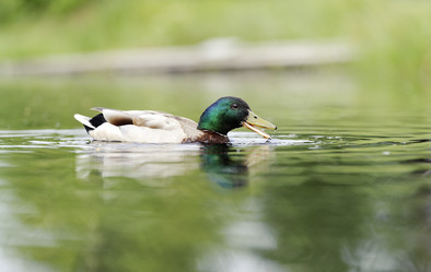 Similar image 10519614