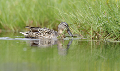 Similar image 10519630