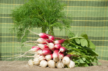 Similar image 10519641