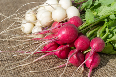 Similar image 10519642