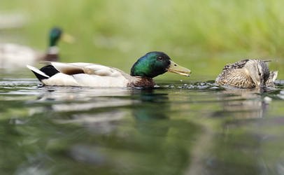 Similar image 10519663