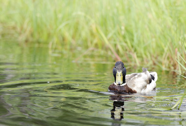 Similar image 10519676