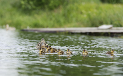 Similar image 10519681