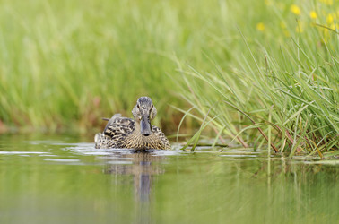 Similar image 10519703