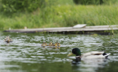 Similar image 10519705