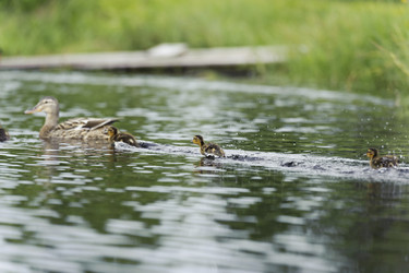 Similar image 10519706