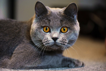 Similar image 10519708