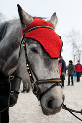 Similar image 10519709