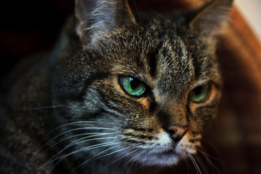 Similar image 10519710