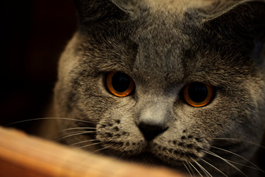 Similar image 10519711