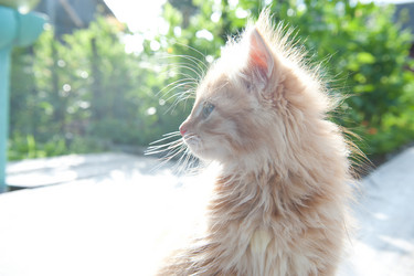 Similar image 10519714