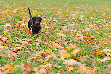 Similar image 10519716