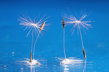 Similar image 10519740