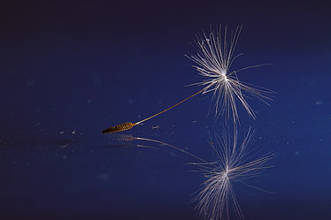 Similar image 10519745