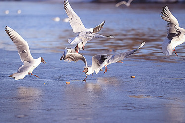 Similar image 10519746