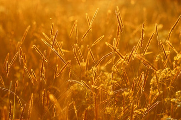 Similar image 10519748