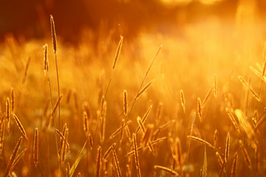 Similar image 10519750