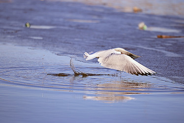 Similar image 10519753