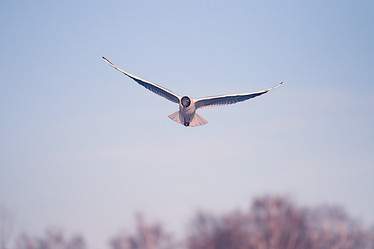 Similar image 10519755