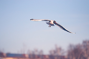 Similar image 10519756