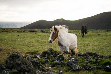 Similar image 10526112