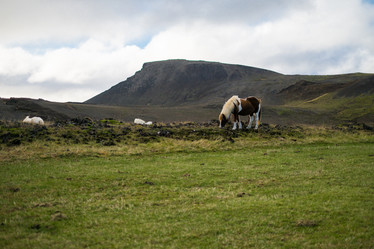 Similar image 10526113