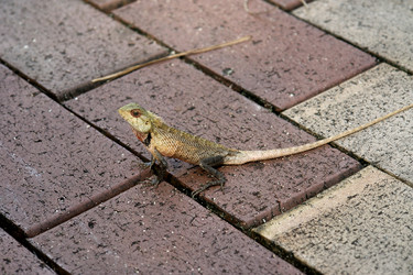 Similar image 10526277