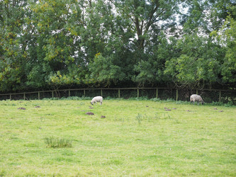 Similar image 10526375