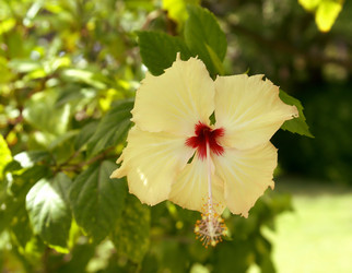 Similar image 10526627