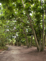 Similar image 10526628