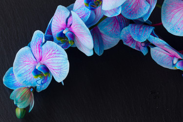 Similar image 10526771