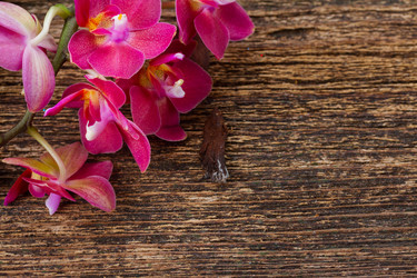 Similar image 10526772