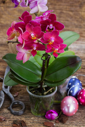 Similar image 10526775