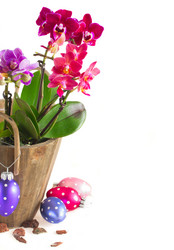 Similar image 10526776