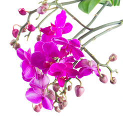 Similar image 10526780