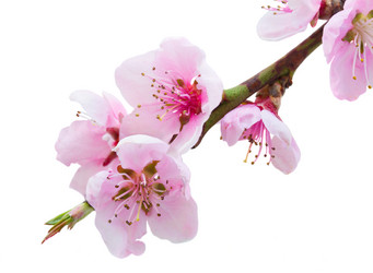 Similar image 10526829